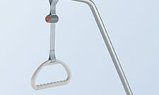 Papegaai met 4 bevestigingspinnen